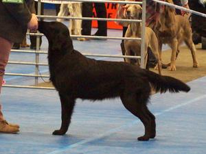 Flicka aged 8mths