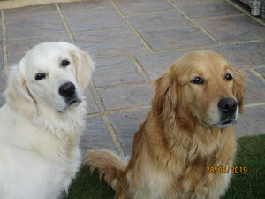 Mattie and Mum Mello