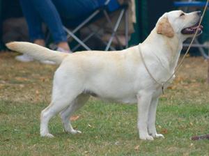 Janet 2 years old - URC 2016