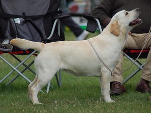 Janet 15 months old - Leeds 2015
