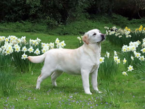 Tilly 6 Months Old