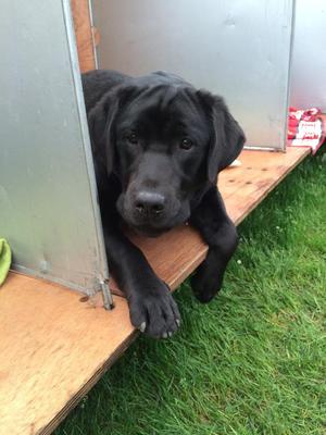 On the bench