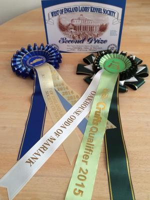 Qualified for Crufts 2015
