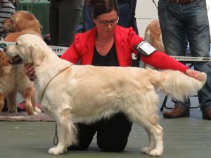 Drombeg Nobleman GRC 2017 winning Graduate