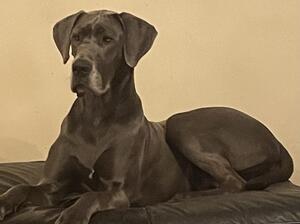Eva- Mum