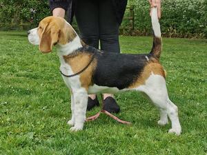 Doris at 5 Months old