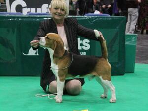 3rd place at Crufts 2023