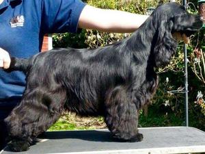 Rue at 6 mths