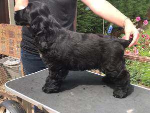 Black boy at 13wks