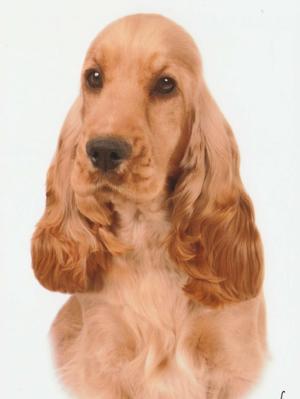 Bea at 8mths