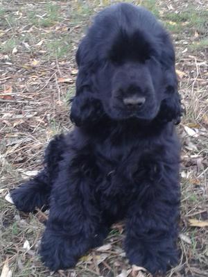 Baby Rue