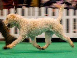 Timba showing her