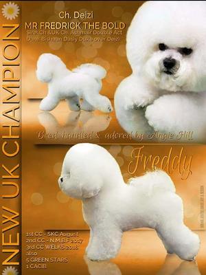 Sire Deizi Mr Fredrick The Bold