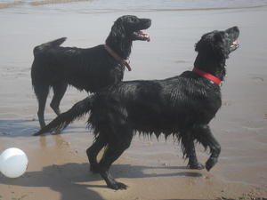 Ceilidh & Keira at the Beach
