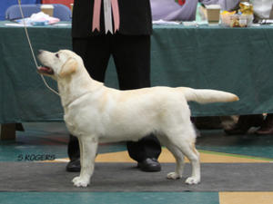 Langanhoe Doris Day 6 1/2 mths