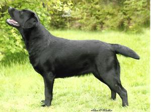 Berolee Rock a Hula Baby at Langanhoe (Flower)