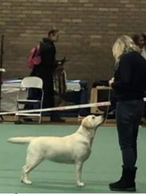 Doris at 8 months old