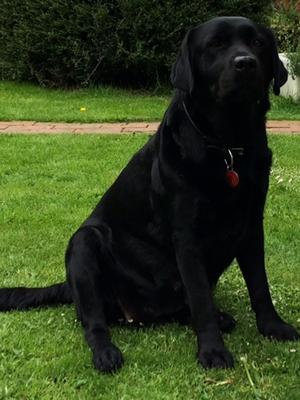 Langanhoe Maybelline