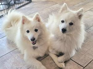 Khione & Darla