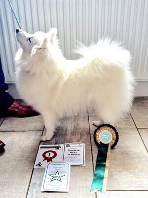 Khione (Mayumis Pride & Joy)