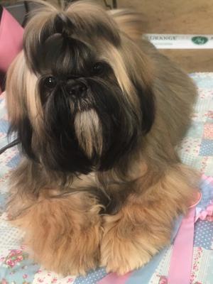 Middletune Eternal Flame