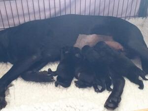 3 Days old