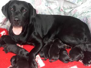 24 HRS OLD
