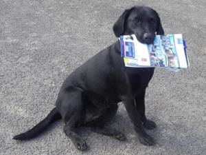 Gerti with the post as a pup
