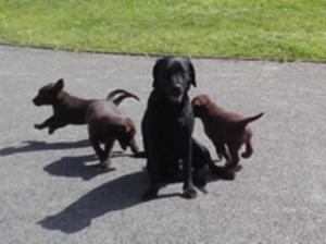 Playing with mum