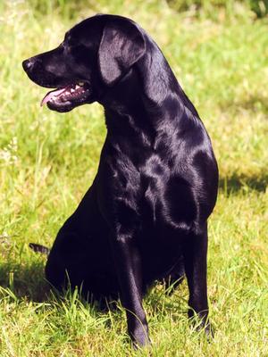 As a youngster