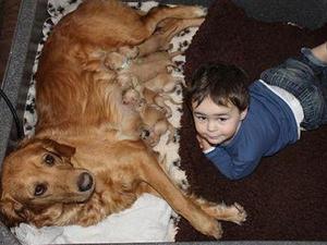 Narla's Gem Litter with Tom