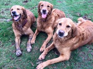 Olive with her Mum & Sister