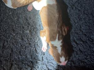 How it all started day 1