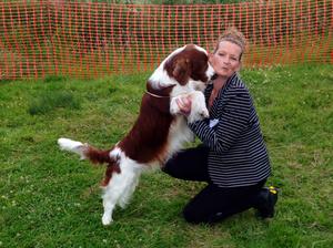 Older Brother after winning the Gundog Group