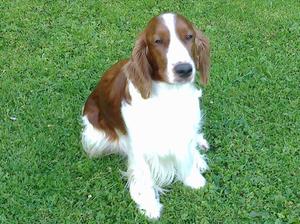 Millie