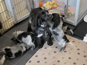 Gladys and the gang