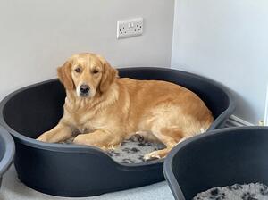 Just chilling