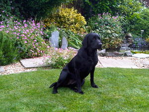 Millsfield Khalula, better known as KALLIE