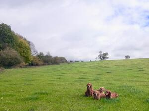 Holly, MAISY, Lily & Spice out shooting