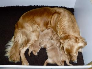 SPICE & babies at 3 weeks old
