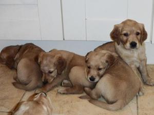 My how they have grown!