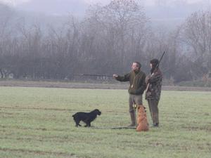 EBONY out Shooting in the mist