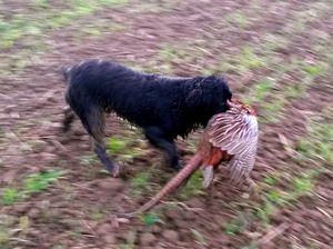 EBONY doing what she loves most