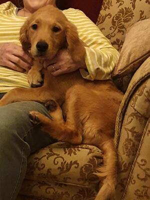 GINNY at 4 months old