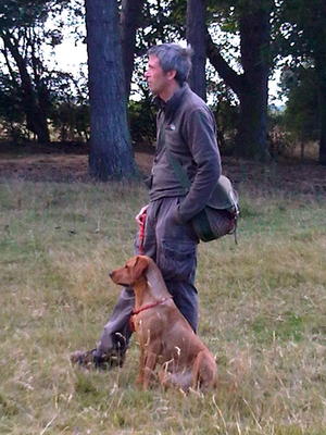 Tess waiting for a command