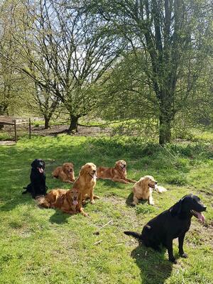 The Gang in the sunshine 2022