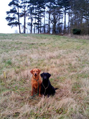 LEXI (Black)  Shooting with her housemate TESS