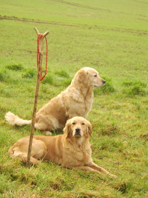 PURDY (sitting) out Shooting with daughter SPICE