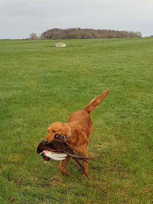 RUBY at work 28.1.24