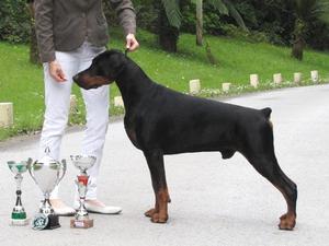 Tino, 2 years old